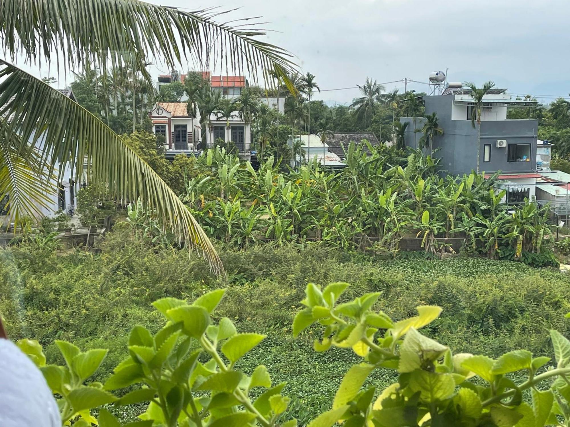 Vila Hoi An Ti Hon House Exteriér fotografie